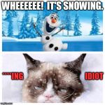No more snow  | WHEEEEEE!  IT'S SNOWING. ****ING                                          IDIOT | image tagged in no more snow | made w/ Imgflip meme maker