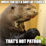 patron seal | WHEN YOU GET A SHOT OF TEQUILA; THAT'S NOT PATRON | image tagged in patron seal | made w/ Imgflip meme maker