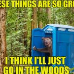 Outhouse Bear | THESE THINGS ARE SO GROSS! I THINK I'LL JUST GO IN THE WOODS | image tagged in outhouse bear | made w/ Imgflip meme maker