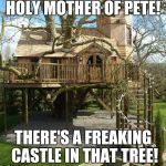 Treehouse mansion  | HOLY MOTHER OF PETE! THERE'S A FREAKING CASTLE IN THAT TREE! | image tagged in treehouse mansion | made w/ Imgflip meme maker