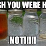 Dirty brown moonshine | WISH YOU WERE HERE; NOT!!!!! | image tagged in dirty brown moonshine | made w/ Imgflip meme maker