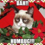 Grumpy Cat Mistletoe Meme Generator - Imgflip