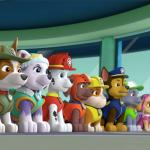 All 8 PAW Patrol Pups At The Lookout meme
