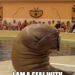 Guilty Walrus | OK, I ADMIT IT! I AM A SEAL WITH ICICLES AS TUSKS! | image tagged in guilty walrus | made w/ Imgflip meme maker