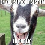 Funny Goat | WHEN YOU SEE YOUR BEST FRIEND; IN PUBLIC | image tagged in funny goat | made w/ Imgflip meme maker