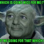 Yoda Bill Murray | THAT WHICH IS GOING NICE FOR ME I'VE GOT; I'VE GOT ME GOING FOR THAT WHICH IS NICE | image tagged in yoda bill murray | made w/ Imgflip meme maker