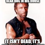 Chuck Norris Flex | CHUCK NORRIS HAS A GRIZZLY BEAR RUG IN HIS HOUSE IT ISN'T DEAD, IT'S JUST AFRAID TO MOVE | image tagged in memes,chuck norris flex,chuck norris | made w/ Imgflip meme maker