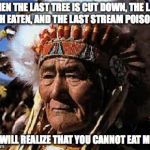 indians | WHEN THE LAST TREE IS CUT DOWN, THE LAST FISH EATEN, AND THE LAST STREAM POISONED, YOU WILL REALIZE THAT YOU CANNOT EAT MONEY | image tagged in indians | made w/ Imgflip meme maker