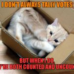 Cat in a Box | I DON'T ALWAYS TALLY VOTES; BUT WHEN I DO,             THEY'RE BOTH COUNTED AND UNCOUNTED | image tagged in cat in a box | made w/ Imgflip meme maker