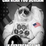 Space vs. cyberspace | IN SPACE, NO ONE CAN HEAR YOU SCREAM; IN CYBERSPACE, NO ONE CAN SHUT YOU UP... | image tagged in grumpy spacecat,space,cyberspace | made w/ Imgflip meme maker