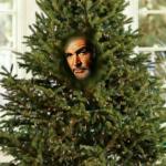 Sean Conifer Christmas Tree