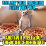 Pizza Science 101 | TELL ME YOUR FAVORITE PIZZA TOPPING... AND I WILL TELL YOU THE SCIENCE BEHIND IT! | image tagged in pizza dog,memes | made w/ Imgflip meme maker
