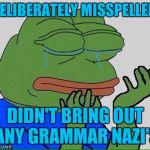 crying pepe | DELIBERATELY MISSPELLED; DIDN'T BRING OUT ANY GRAMMAR NAZI'S | image tagged in crying pepe | made w/ Imgflip meme maker