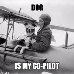 Dog is my Co-Pilot | DOG; IS MY CO-PILOT | image tagged in wmp,funny,memes,dog,airplane,copilot | made w/ Imgflip meme maker