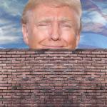 donald and the wall