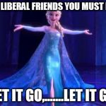 frozen | MY DEAR LIBERAL FRIENDS YOU MUST LEARN TO; LET IT GO,.......LET IT GO | image tagged in frozen | made w/ Imgflip meme maker