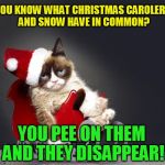 The 18 Christmas Memes Till Christmas Event  | YOU KNOW WHAT CHRISTMAS CAROLERS AND SNOW HAVE IN COMMON? YOU PEE ON THEM AND THEY DISAPPEAR! | image tagged in grumpy cat christmas hd,christmas memes,carolers,jokes,grumpy cat,pee on the snow | made w/ Imgflip meme maker