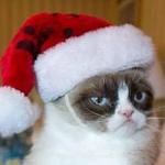 Grumpy Cat Christmas meme