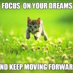Kittens have dream | FOCUS  ON YOUR DREAMS; AND KEEP MOVING FORWARD | image tagged in memes,kittens | made w/ Imgflip meme maker