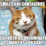 Cat Smile | SMILES ARE CONTAGIOUS; GO FORTH & CONTAMINATE AS MANY AS YOU CAN!! | image tagged in memes,cats | made w/ Imgflip meme maker