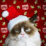 Grumpy Cat Christmas