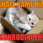Cat in a Box | I SHALL NAME HIM.. SCHRODINGER! | image tagged in cat in a box | made w/ Imgflip meme maker