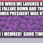 Member berries | MEMBER WHEN WE LAUGHED AT FORD ALWAYS FALLING DOWN AND THOUGHT A PEANUT FARMER PRESIDENT WAS HYSTERICAL? OH I MEMBER!  GOOD TIMES. | image tagged in member berries | made w/ Imgflip meme maker