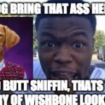 roasting the best memer | RAY DOG BRING THAT ASS HERE BOII; YO BUTT SNIFFIN, THATS THE STORY OF WISHBONE LOOKIN ASS | image tagged in dc young fly roast,bad luck raydog | made w/ Imgflip meme maker