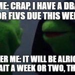inner kermit | ME: CRAP, I HAVE A DBA FOR FLVS DUE THIS WEEK; INNER ME: IT WILL BE ALRIGHT. JUST WAIT A WEEK OR TWO, THEN DO IT | image tagged in inner kermit | made w/ Imgflip meme maker