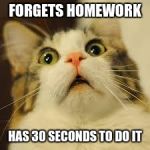 scared cat | FORGETS HOMEWORK; HAS 30 SECONDS TO DO IT | image tagged in scared cat | made w/ Imgflip meme maker
