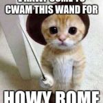 Cute cat | L HAWF COME TO CWAM THIS WAND FOR; HOWY ROME | image tagged in cute cat | made w/ Imgflip meme maker