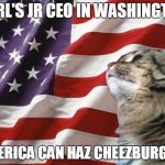 America Cat | CARL'S JR CEO IN WASHINGTON; AMERICA CAN HAZ CHEEZBURGER! | image tagged in america cat | made w/ Imgflip meme maker