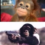 monkey moods | ZERO TO BIPOLAR; REAL QUICK😂😂😂💯 | image tagged in monkey moods | made w/ Imgflip meme maker