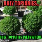 X, X Everywhere | UGLY TOPIARIES.. UGLY TOPIARIES EVERYWHERE! | image tagged in x x everywhere | made w/ Imgflip meme maker