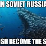 Fish Teamwork | IN SOVIET RUSSIA; THE FISH BECOME THE SHARK | image tagged in fish teamwork | made w/ Imgflip meme maker