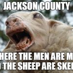 Scared Sheep | JACKSON COUNTY; WHERE THE MEN ARE MEN AND THE SHEEP ARE SKEERED | image tagged in scared sheep | made w/ Imgflip meme maker