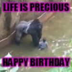 harambe | LIFE IS PRECIOUS; HAPPY BIRTHDAY | image tagged in harambe | made w/ Imgflip meme maker