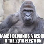10000+ Votes | HARAMBE DEMANDS A RECOUNT IN THE 2016 ELECTION | image tagged in harambe,election,trump,hillary | made w/ Imgflip meme maker