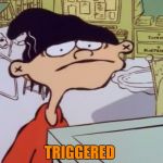 triggered | TRIGGERED | image tagged in triggered | made w/ Imgflip meme maker