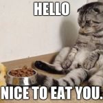 Crazy Animals | HELLO; NICE TO EAT YOU. | image tagged in crazy animals | made w/ Imgflip meme maker
