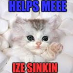 marshmallow kitty | HELPS MEEE; IZE SINKIN | image tagged in marshmallow kitty | made w/ Imgflip meme maker