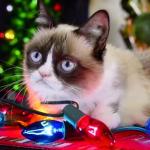 Grumpy Cat Christmas Lights meme
