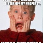 Home Alone | I'M GONNA GIVE YOU TO THE COUNT OF 10, TO GET YOUR UGLY, YELLA, NO-GOOD KEISTER OFF MY PROPERTY, MERRY CHRISTMAS, YA' FILTHY ANIMAL! | image tagged in home alone | made w/ Imgflip meme maker