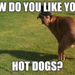Dog Pooping | HOW DO YOU LIKE YOUR; HOT DOGS? | image tagged in dog pooping | made w/ Imgflip meme maker