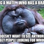 Fat orangutan with middle finger | #TAG A MATE ... WHO HAS A BRAIN... AND DOESN'T WANT TO SEE ANYMORE FAT OR UGLY PEOPLE LOOKING FOR WHOEVER. | image tagged in fat orangutan with middle finger | made w/ Imgflip meme maker