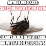 Fly on the wall | ANYONE WHO SAYS;; 'I WISH I COULD BE A FLY ON THE WALL'; HAS CLEARLY NEVER BEEN ATTACKED BY; A WOMAN WITH A ROLLED UP NEWSPAPER. | image tagged in dead fly,newspaper | made w/ Imgflip meme maker