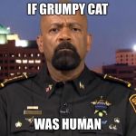 fake news | IF GRUMPY CAT; WAS HUMAN | image tagged in fake news | made w/ Imgflip meme maker