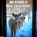 We heard it was taco night  | WE HEARD IT WAS TACO NIGHT | image tagged in deer,tacos,taco tuesday,funny,cute,animals | made w/ Imgflip meme maker