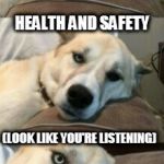 Bored Pun Dog | MOVING AND HANDLING; HEALTH AND SAFETY; (LOOK LIKE YOU'RE LISTENING) | image tagged in bored pun dog | made w/ Imgflip meme maker