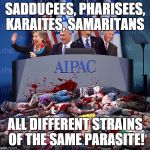 Vile aIpac | SADDUCEES, PHARISEES, KARAITES, SAMARITANS; ALL DIFFERENT STRAINS OF THE SAME PARASITE! | image tagged in vile aipac,jews | made w/ Imgflip meme maker